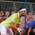 Vesely