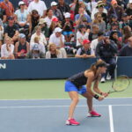 Hingis
