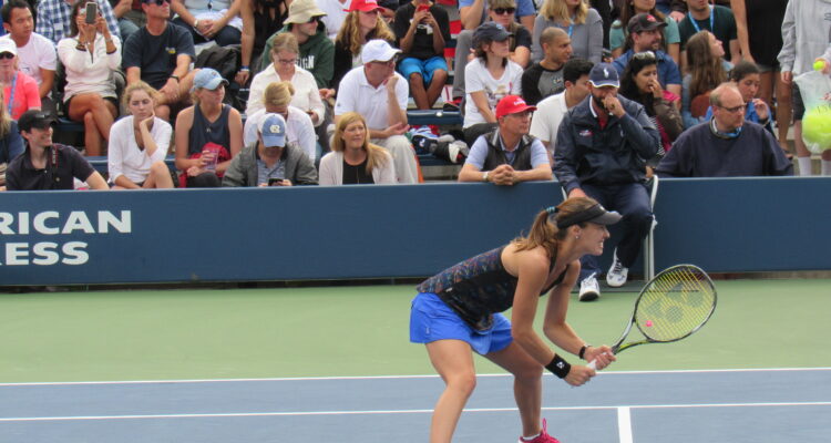 Hingis