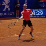 Goffin