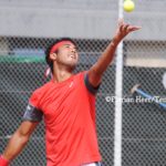 Dellien
