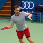 Gulbis
