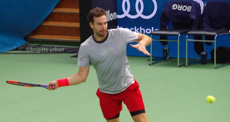 Gulbis