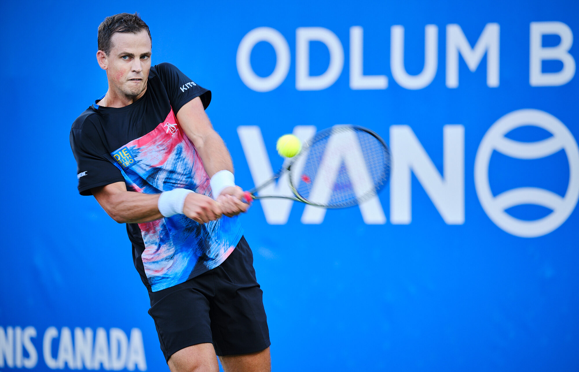 Vasek Pospisil