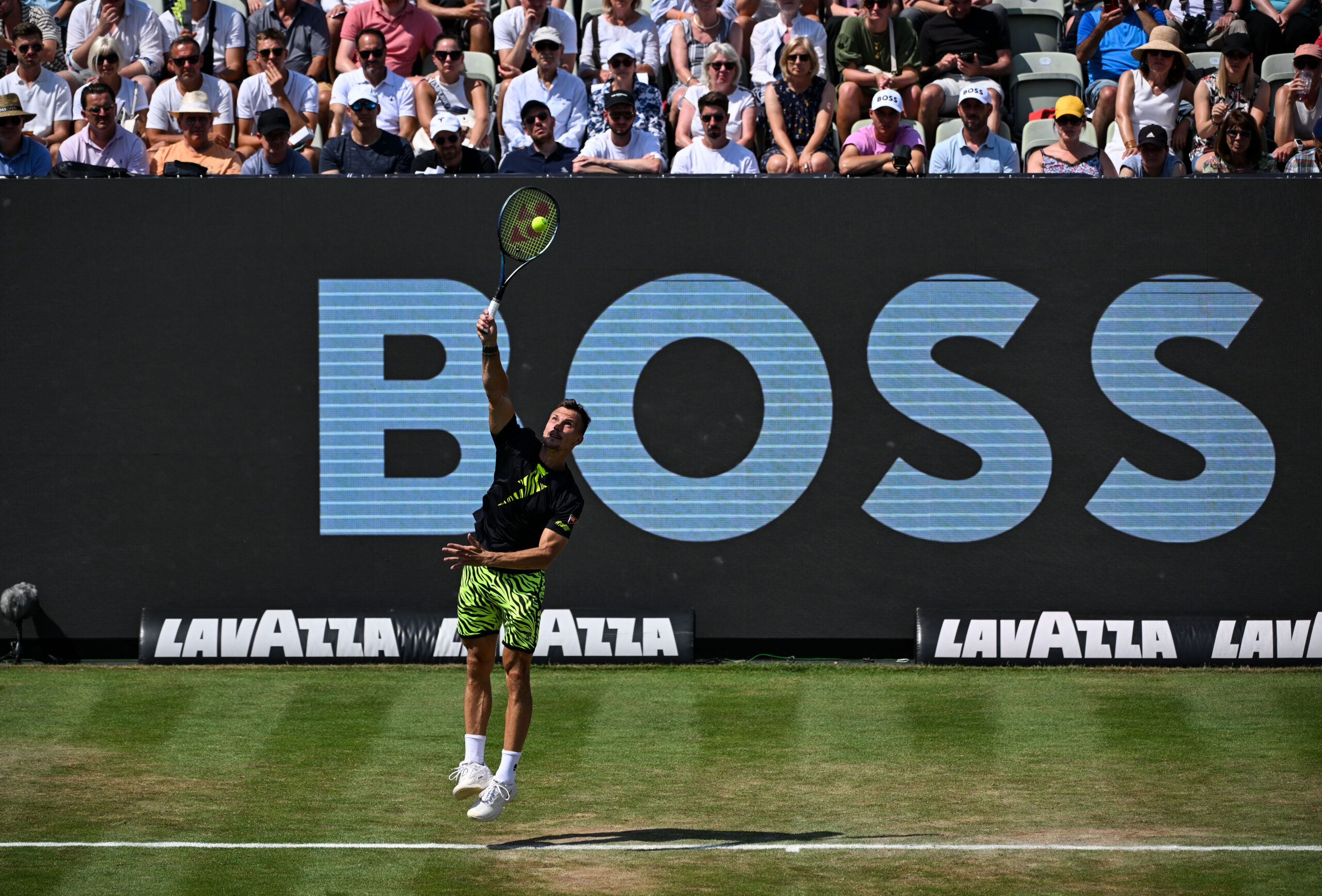 Marton Fucsovics, ATP Tour, Boss Open, Stuttgart