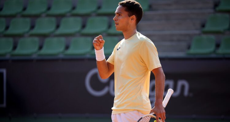 Pedro Araujo