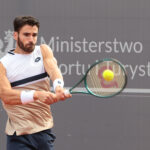 Andrea Pellegrino